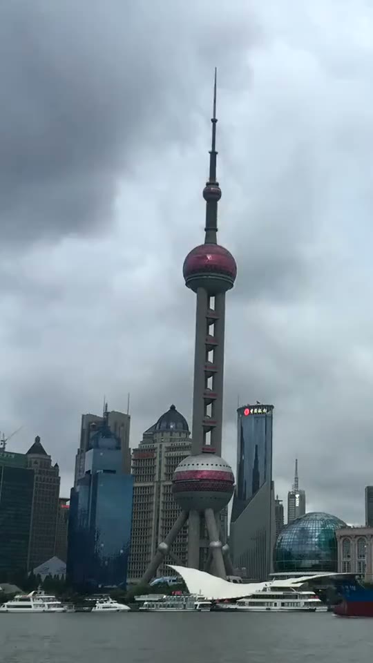上海地标后摄动态场景封面