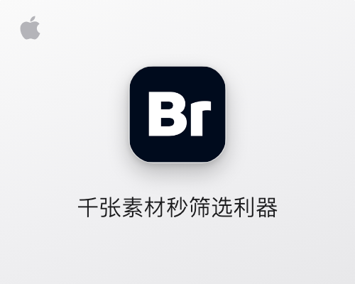 Adobe Bridge 2026 for Mac v16.0.8 中文学习版 Br资源管理软件
